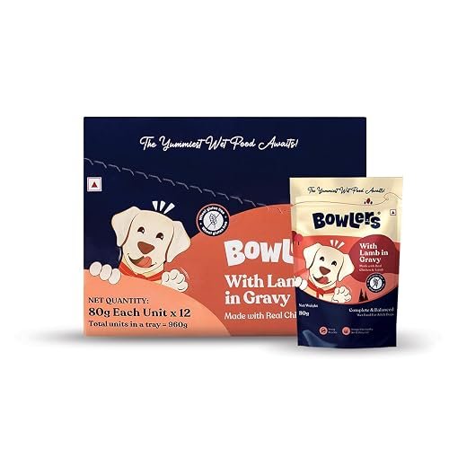 Royal Canin Maxi Adult Dog Wet Food, Supports Digestive Health & Optimal Health, Pack of 30, 140 Grams