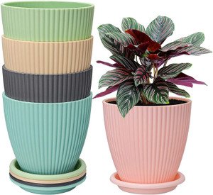 Set of 5 Pot with Plate
