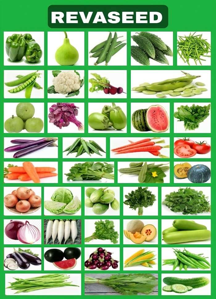 vrisa green vegetable seeds hybrid organic combo 40 varieties home garden pack seed
