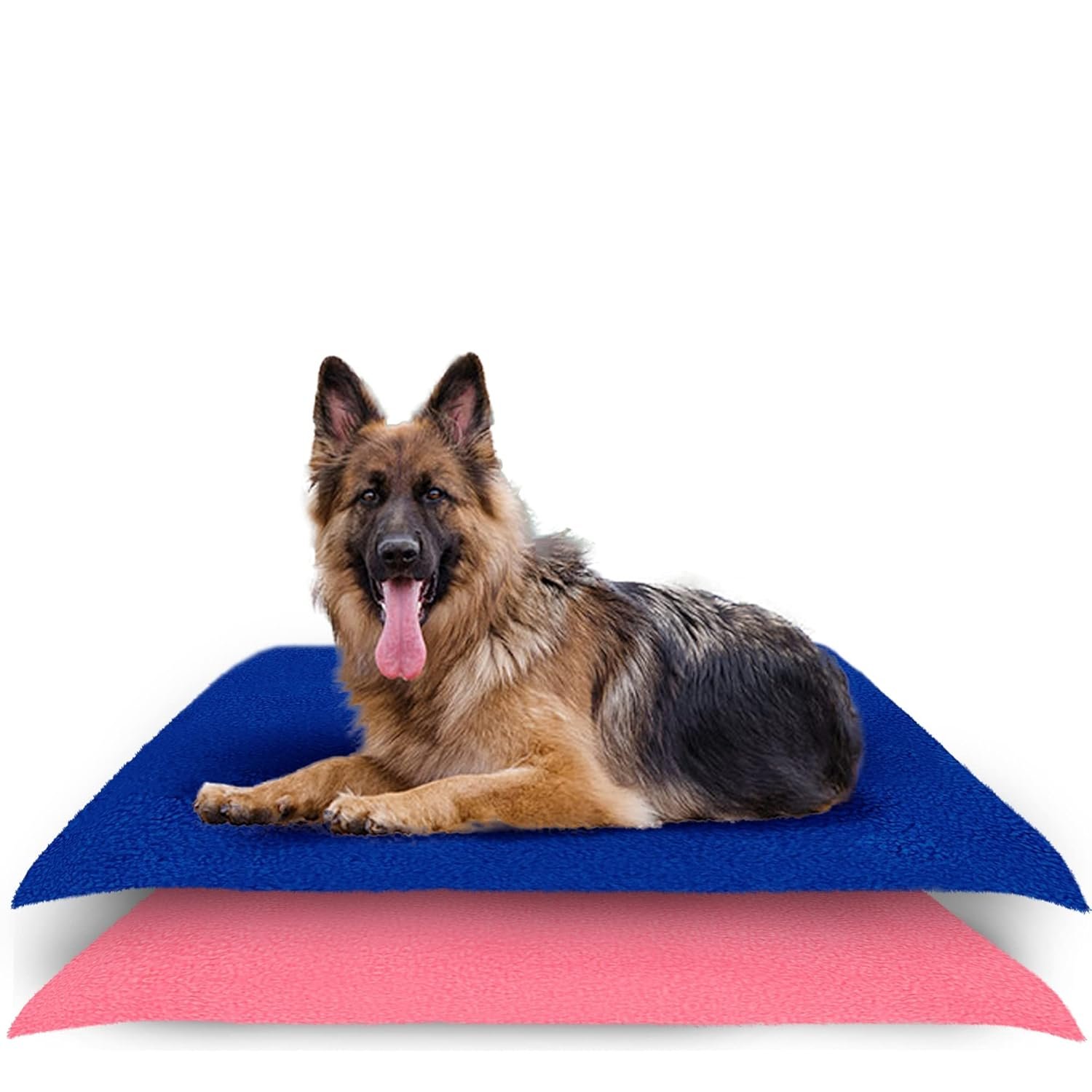 Waterproof Reusable Washable Pee Pads & Hygenic Pet Dry Sheet | Training Pads for All Pet | Size- 140 x 100 Large Combo (Color, Royal Blue + Salman Rose)