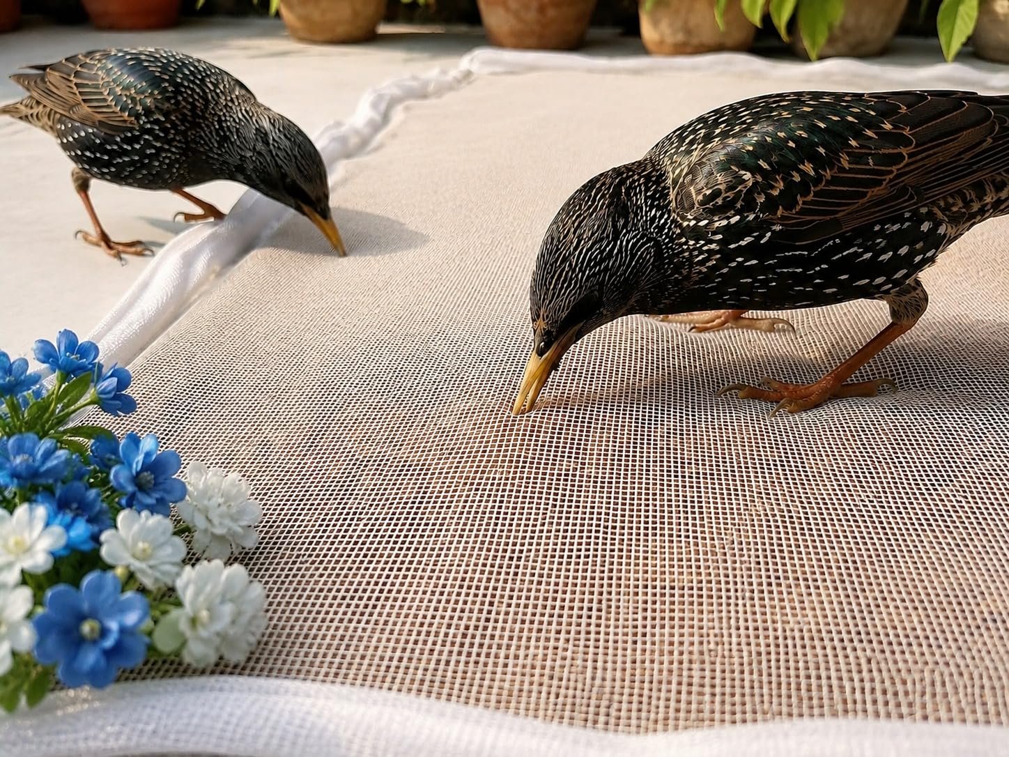 Mesh Food Drying Cover Net with Zipper Closure for Grain Drying, White Protective Mesh Cover for Terrace, Balcony and Outdoor Drying (28 X 38 INCHES)