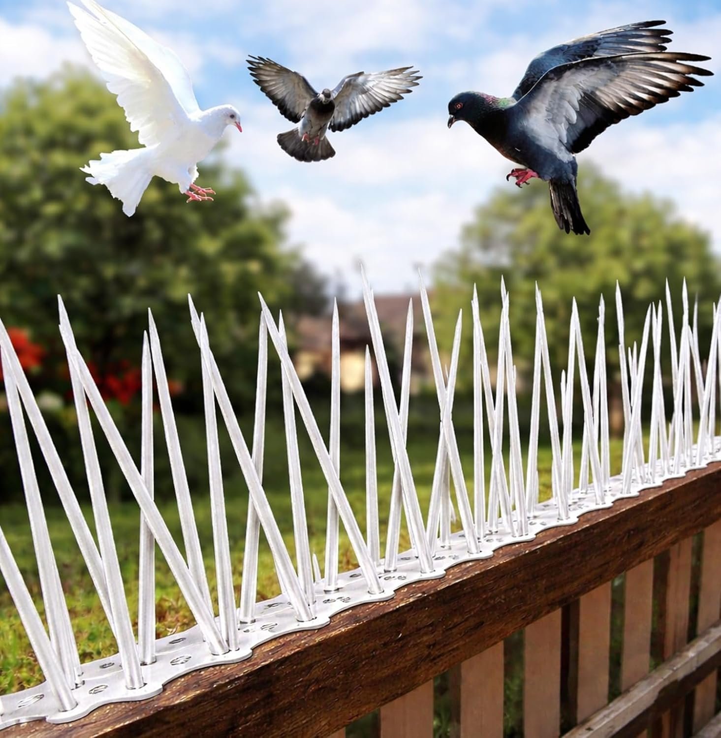 XONOV Bird and Pigeon Spikes, Pigeon Control Spikes Anti Bird Plastic Spikes for AC Balcony Railing Window Home Protection from Pigeon Dog Monkey Crow Kabootar Transparent (Pack of 10 (13 Inch))