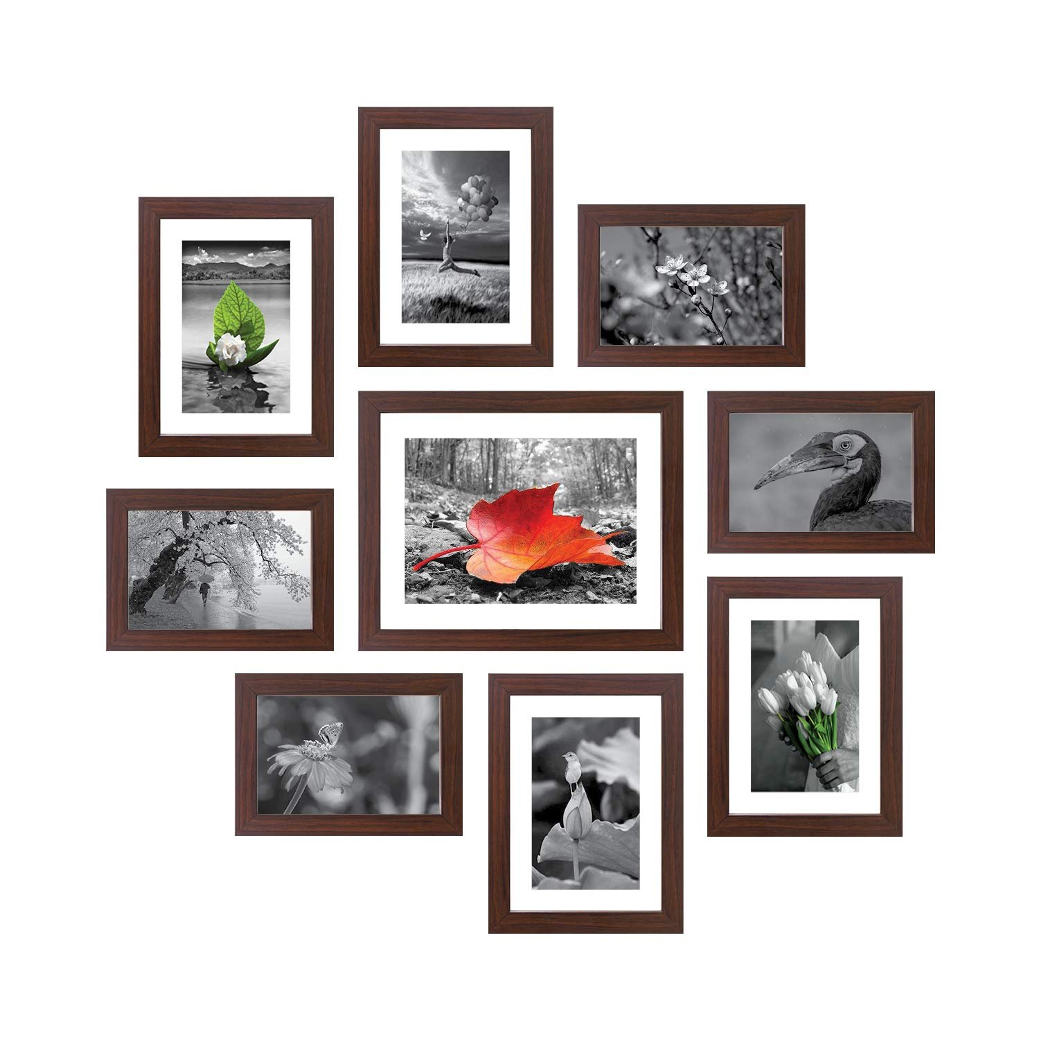 Amazon Brand - Solimo Synthetic Collage Set Of 9 Photo Frames ( 5 X 7 Inch - 4, 6 X 8 Inch - 4 & 8 X 10 Inch - 1) , Brown, Rectangular, wall mount