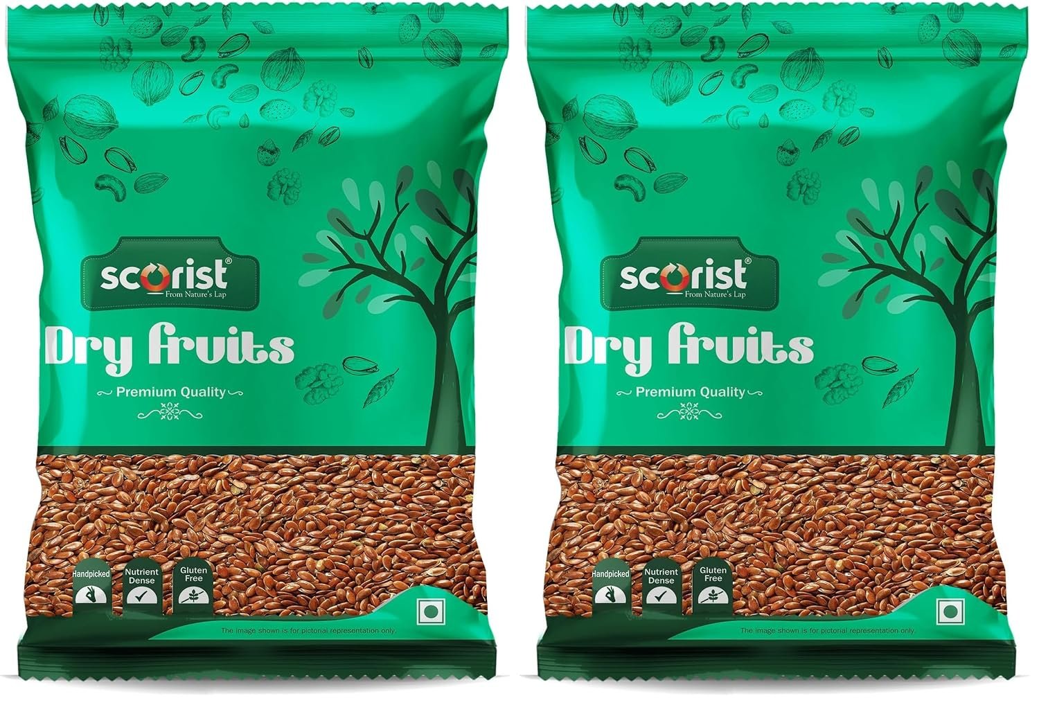 Scorist Premium Flax Seeds 500g | Alsi Seeds | Flax Seeds for Hair Growth | Raw Seeds for Eating | Source of Iron & Dietary Fibre | Rich in Protein (Pack of 2)