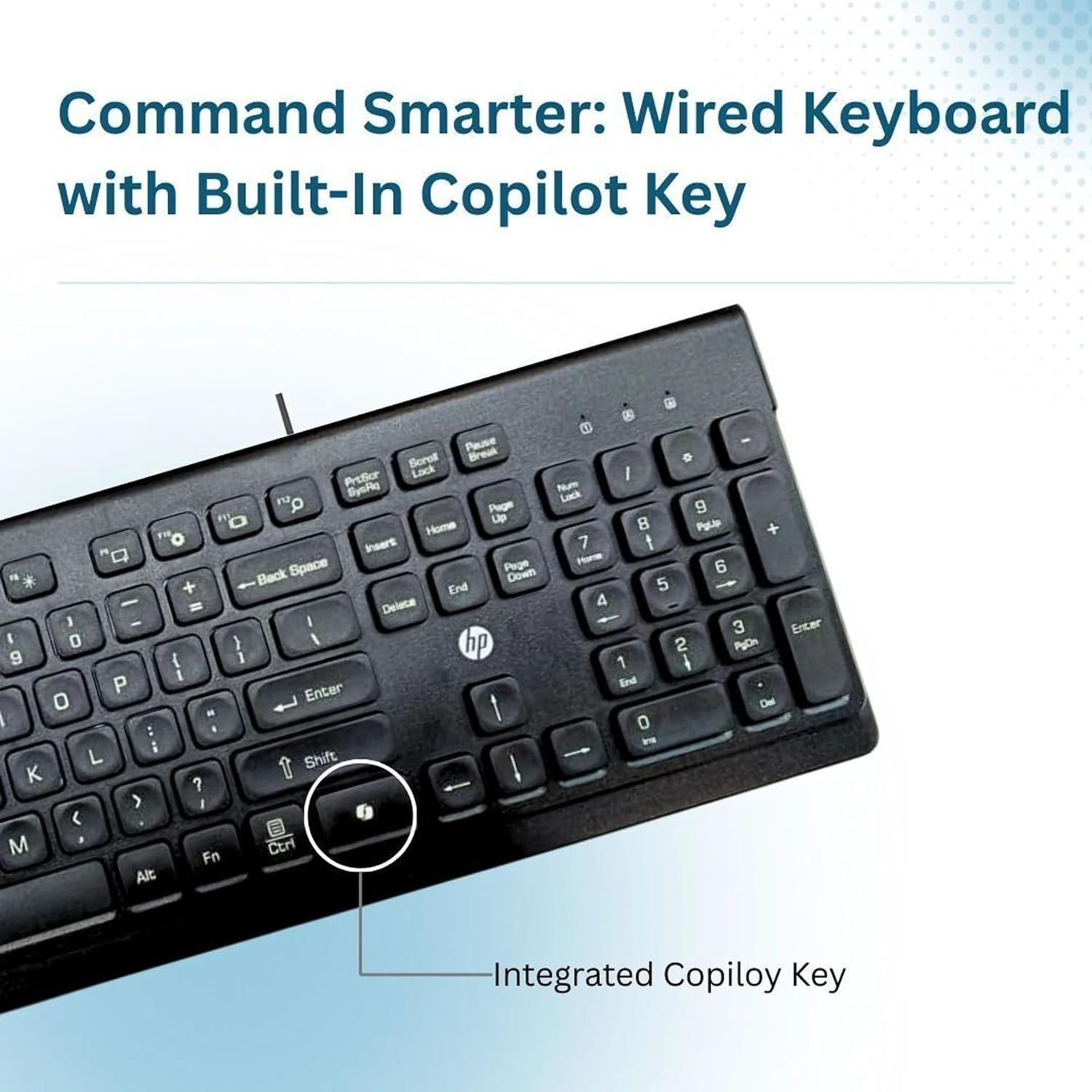 HP 115 Wired Keyboard and Mouse Combo | USB Plug & Play Full-Size Keyboard with Optical Mouse | Standard Multi-Device Keyboard Compatible with Desktop, Laptop, Windows PC | Black