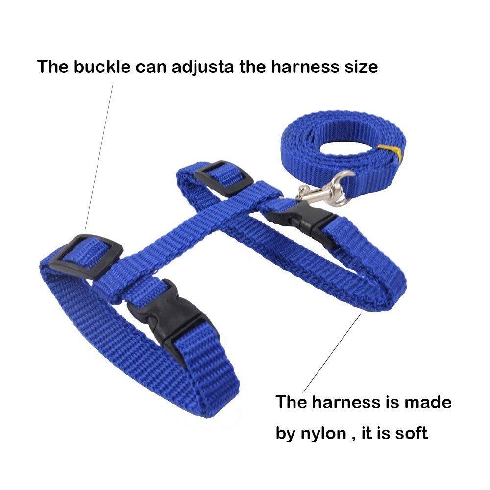 The Pets Company Adjustable Cat Harness Leash Set for Cats & Kittens, Indigo