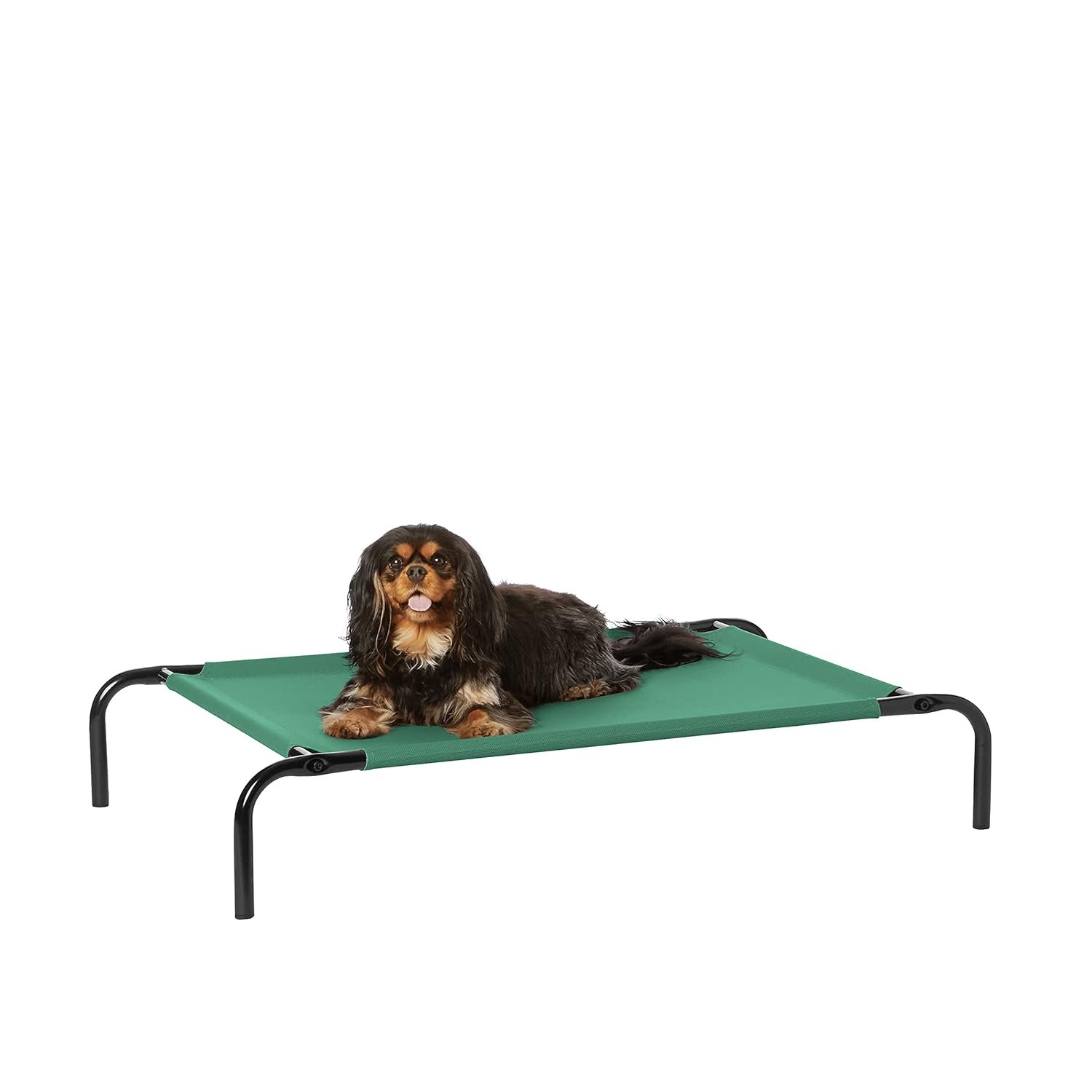 AmazonBasics Small Elevated Cooling Pet Dog Cot Bed - 36 x 22 x 7.5 Inches, Green