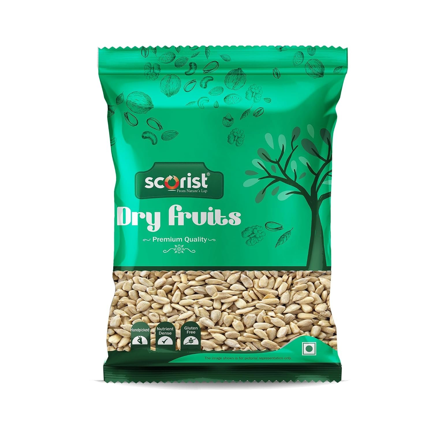 Scorist Premium Sunflower Seeds 500g I Sunflower Seeds for Eating | Diet Food | Healthy Snack | Raw seeds | Weight management | Source of Antioxidants