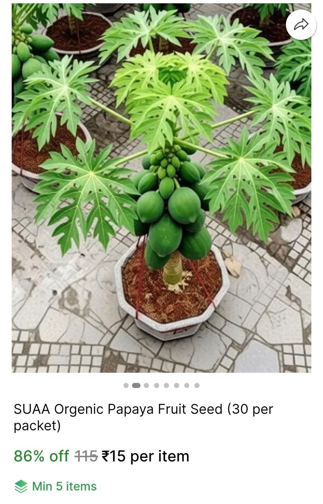 suaa orgenic papaya fruit seed