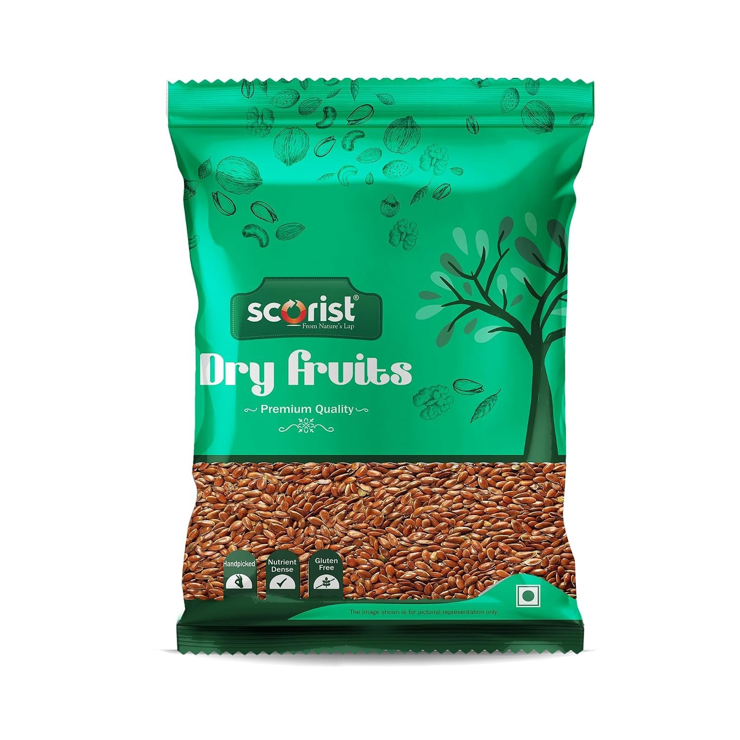 Scorist Premium Flax Seeds 500g | Alsi Seeds | Flax Seeds for Hair Growth | Raw Seeds for Eating | Source of Iron & Dietary Fibre | Rich in Protein
