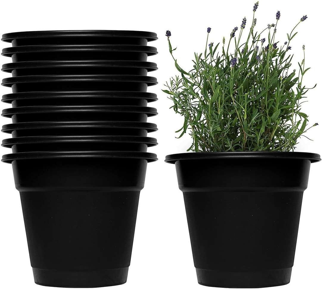 craps 6 inch plastic round nursery planter pot home office table garden balcony decoration plant con