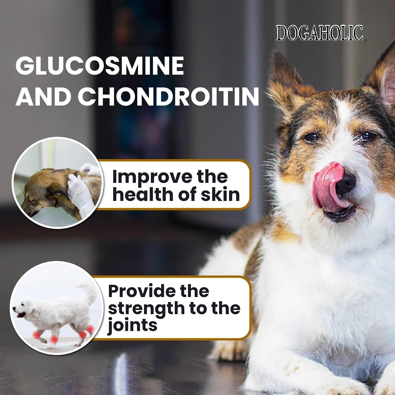 Dogaholic Dog Treat Combo of Chicken Bacon BBQ Flavor Bone Shape and Stick Training Snacks, 130 g Each, Rich in Protein & Vitamins