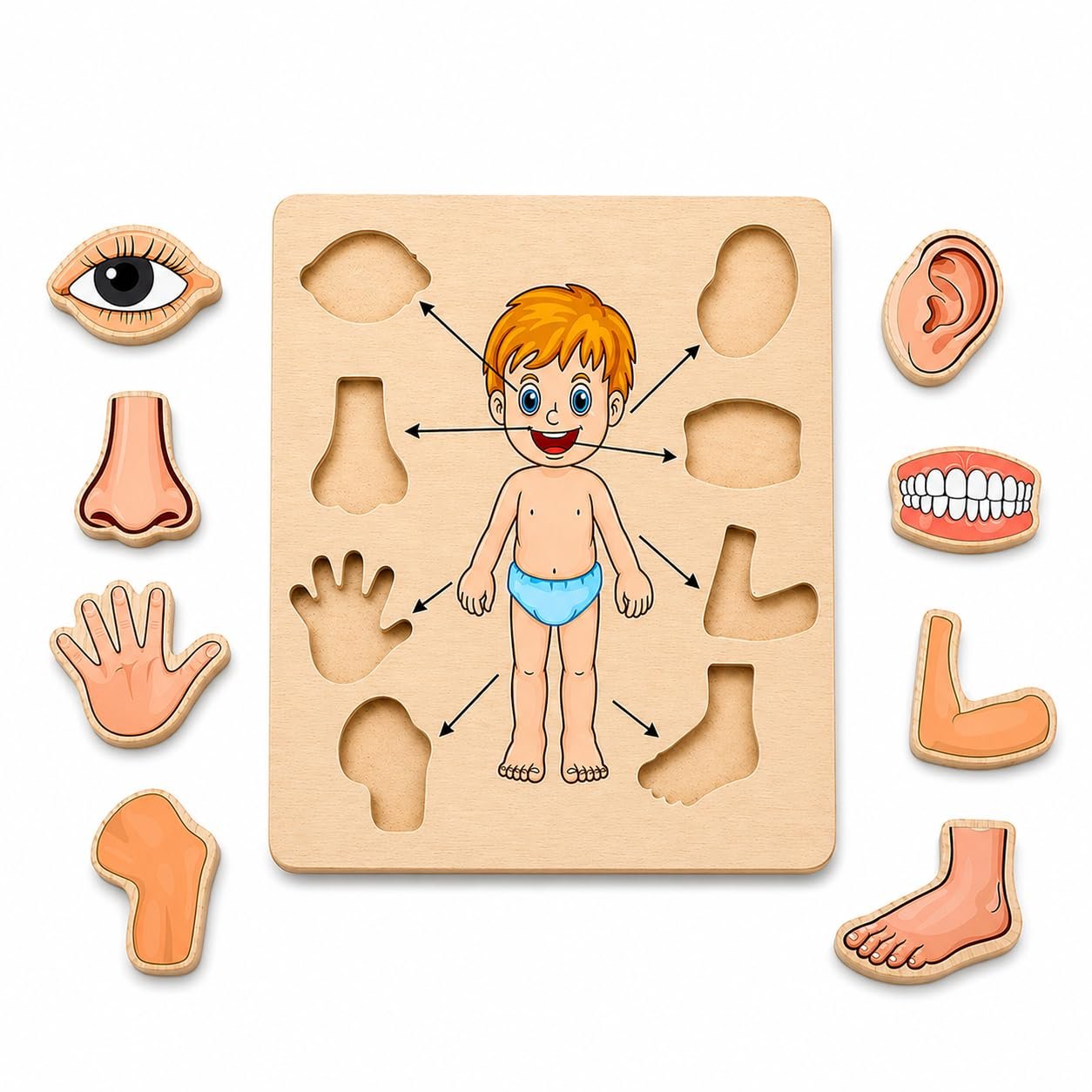 Body Part Puzzle Kids Wooden Toys for Kids 3 + Jigsaw Puzzles for Adults Baby Learning Toys Educational Toys Game for Learning Human Body Parts Anatomy Skeleton - Gift Toys for Boy and Girl