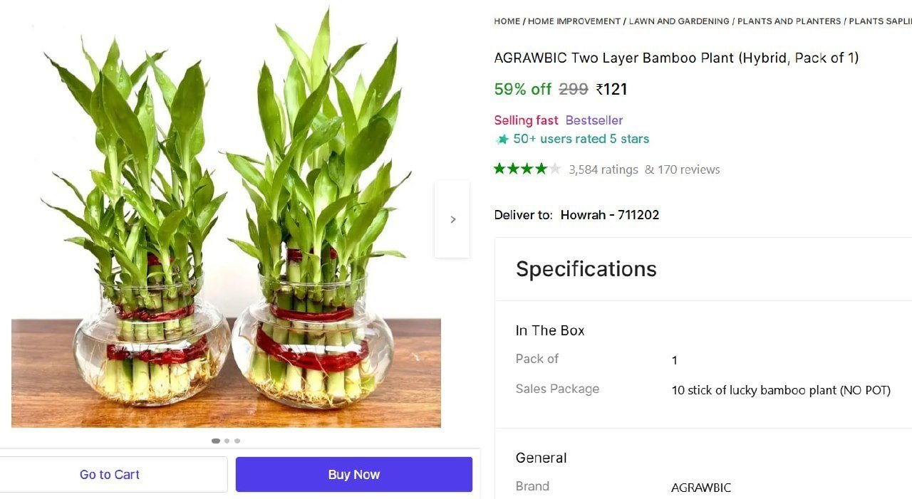 agrawbic two layer bamboo plant
